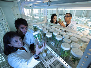 Science Laboratory DDOS攻击